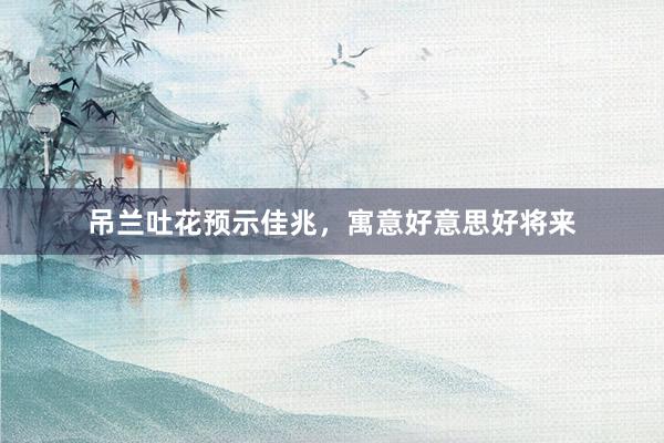吊兰吐花预示佳兆,寓意好意思好将来
