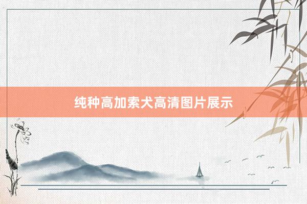 纯种高加索犬高清图片展示