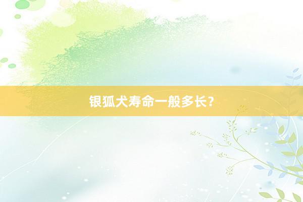 银狐犬寿命一般多长？
