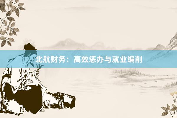 北航财务：高效惩办与就业编削
