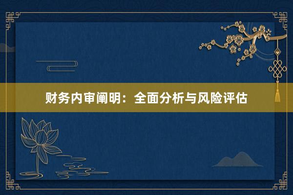财务内审阐明:全面分析与风险评估